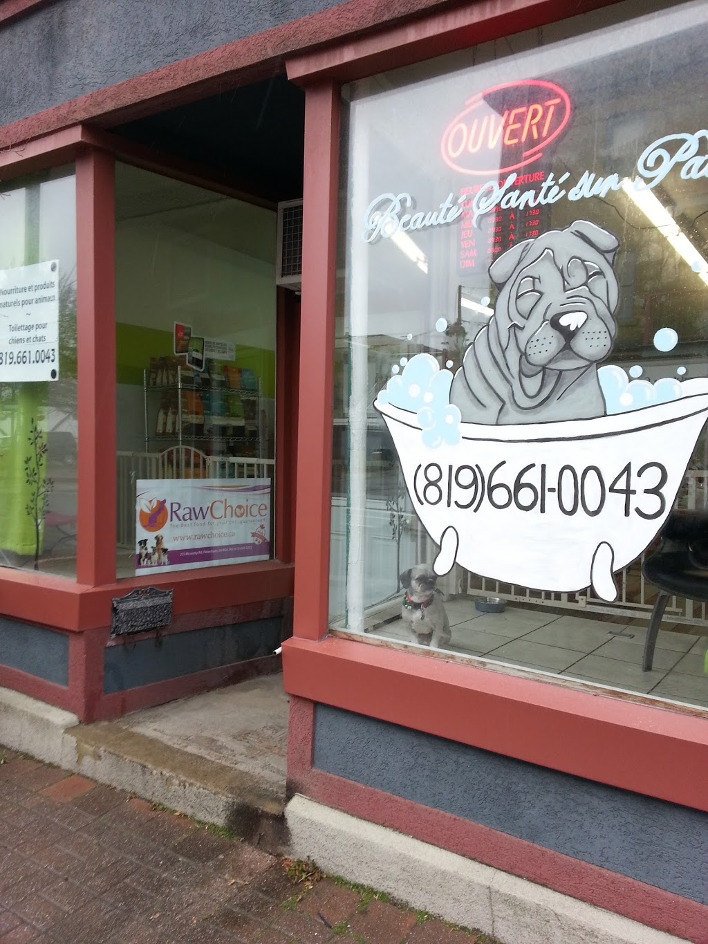 Beaute Sante Sur Pattes | 121 Rue Eddy, Gatineau, QC J8X 2W3, Canada | Phone: (819) 661-0043