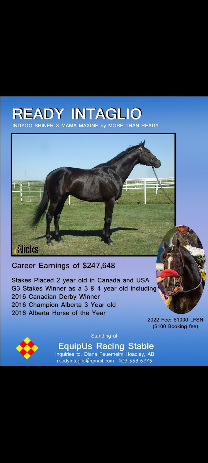EQUIPUS RACING STABLE | 34041 hwy 611, Bluffton, AB T0C 0M0, Canada | Phone: (403) 559-6275