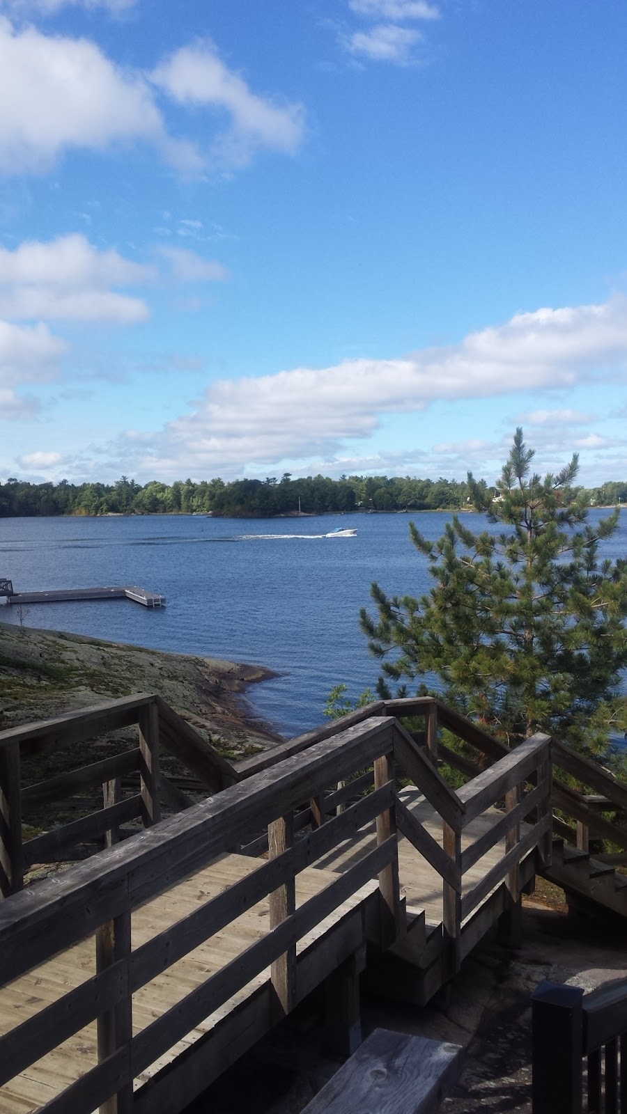 The Hive | 18 Franks Ln, Honey Harbour, ON P0E 1E0, Canada | Phone: (705) 230-0488