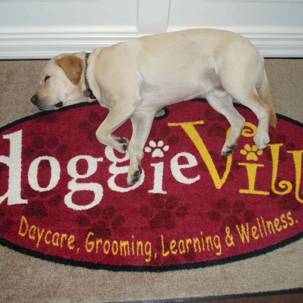 Doggieville | 1166 Gorham St Unit 4, Newmarket, ON L3Y 8W4, Canada | Phone: (905) 953-9136