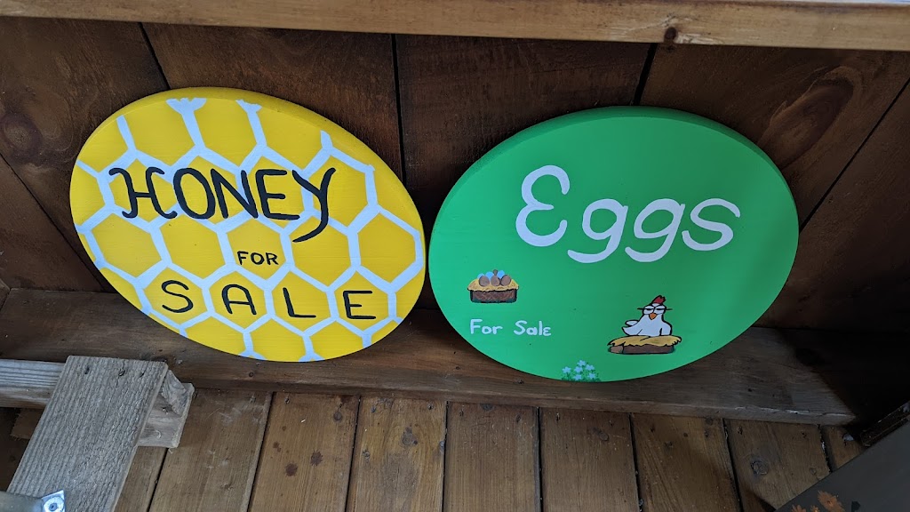 Trent Hills Honey | 2335 2nd Line E, Campbellford, ON K0L 1L0, Canada | Phone: (905) 269-0498