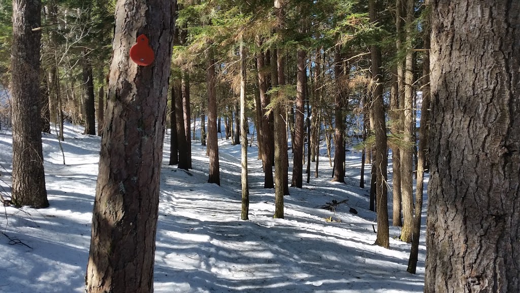 Granite Ridge Trail | Killarney, ON P0M, Canada | Phone: (705) 287-2900