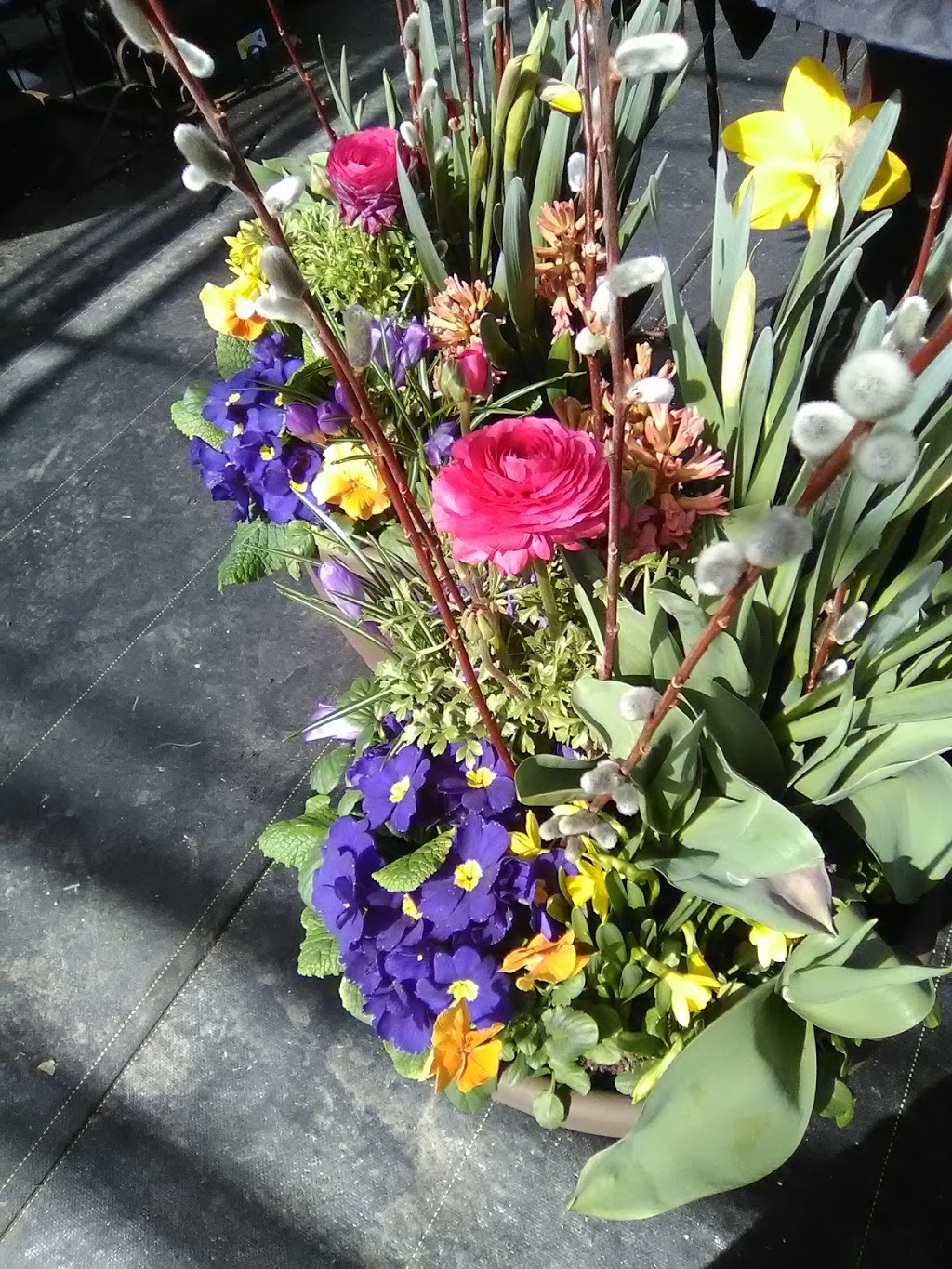 Coles Florist & Garden Centre | 147 Main St E, Grimsby, ON L3M 1P2, Canada | Phone: (905) 945-2219
