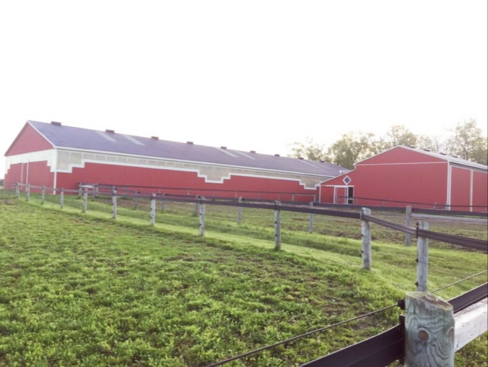 Riverbend Equestrian | 34219 Neil Rd, Lucan, ON N0M 2J0, Canada | Phone: (519) 661-7703