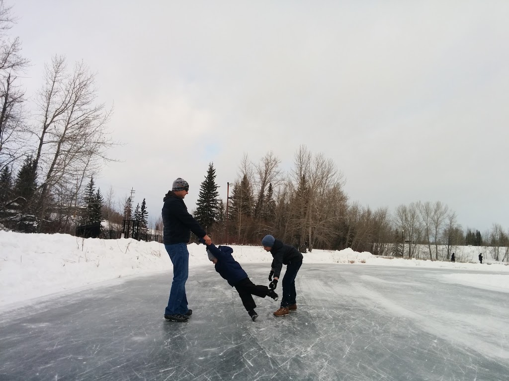 Great Chief Park | 4707 Fountain Dr, Red Deer, AB T4N 6W4, Canada | Phone: (403) 342-8255