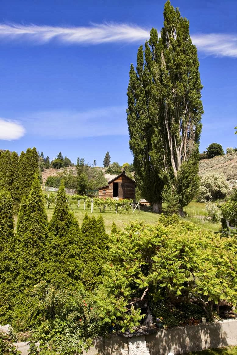 Glenoka farm B&B | 6702 Beggs St, Summerland, BC V0H 1Z6, Canada | Phone: (250) 494-9891