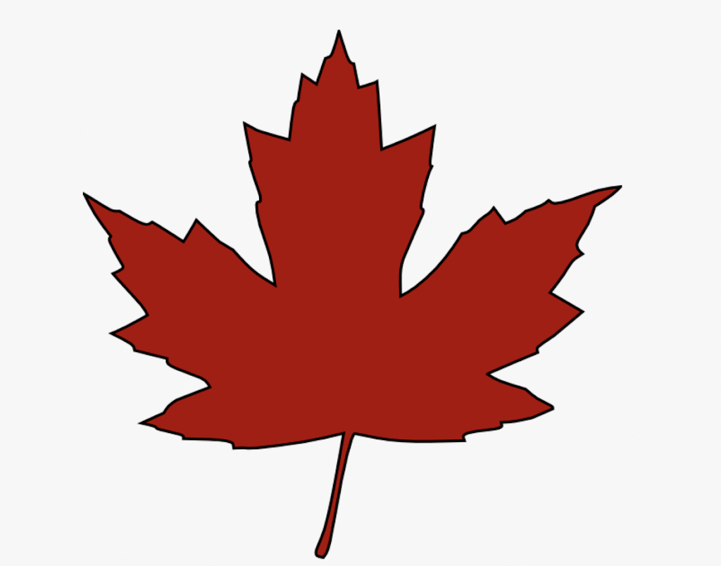 Riverpool Immigration Services Inc | 5 Welland Rd, Brampton, ON L6R 0Z3, Canada | Phone: (416) 617-0684