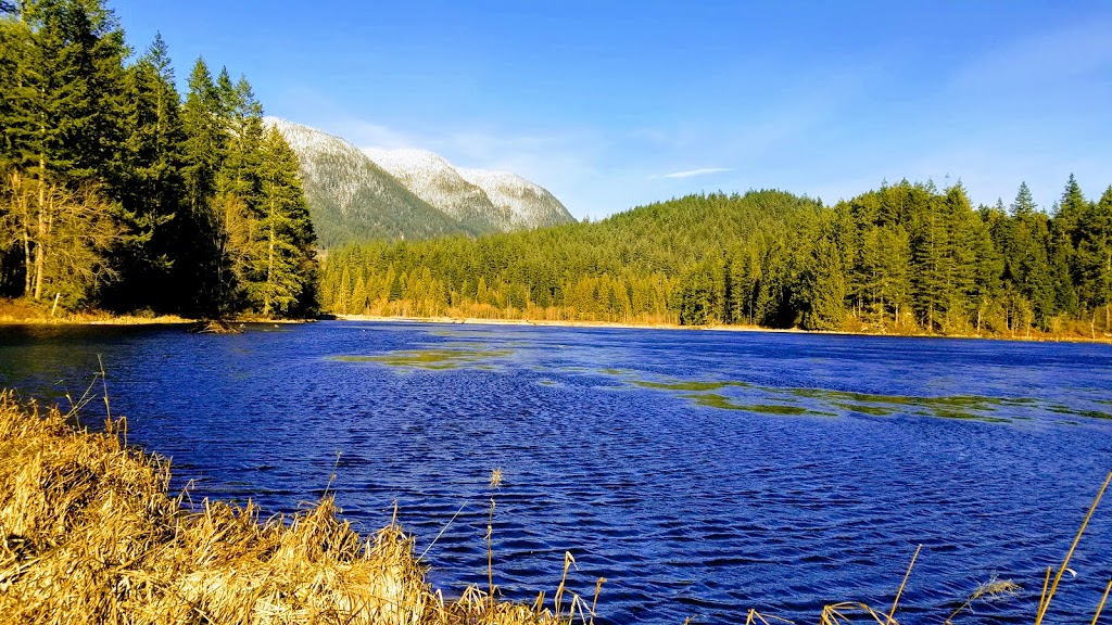Swaneset Bay Resort and Country Club | 16651 Rannie Rd, Pitt Meadows, BC V3Y 1Z1, Canada | Phone: (604) 465-9380