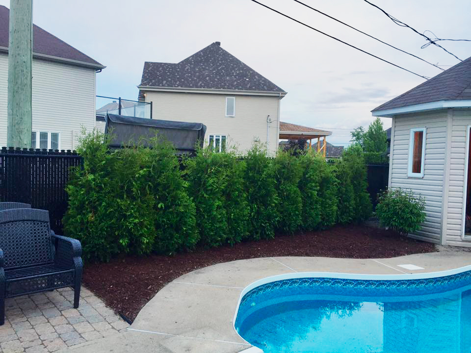 G D Beaux Cedres | 31 Chemin du Lac N, Sainte-Mélanie, QC J0K 3A0, Canada | Phone: (450) 889-8679