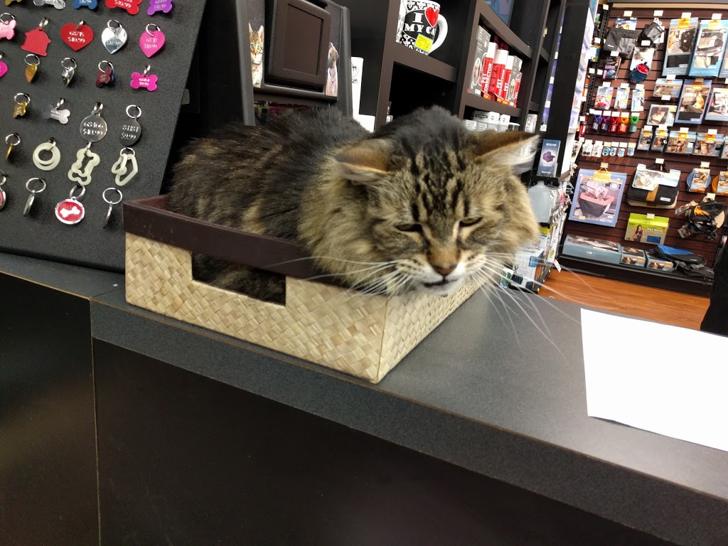 Pet Valu | 2855 Pembina Hwy, Winnipeg, MB R3T 2H5, Canada | Phone: (204) 261-8383