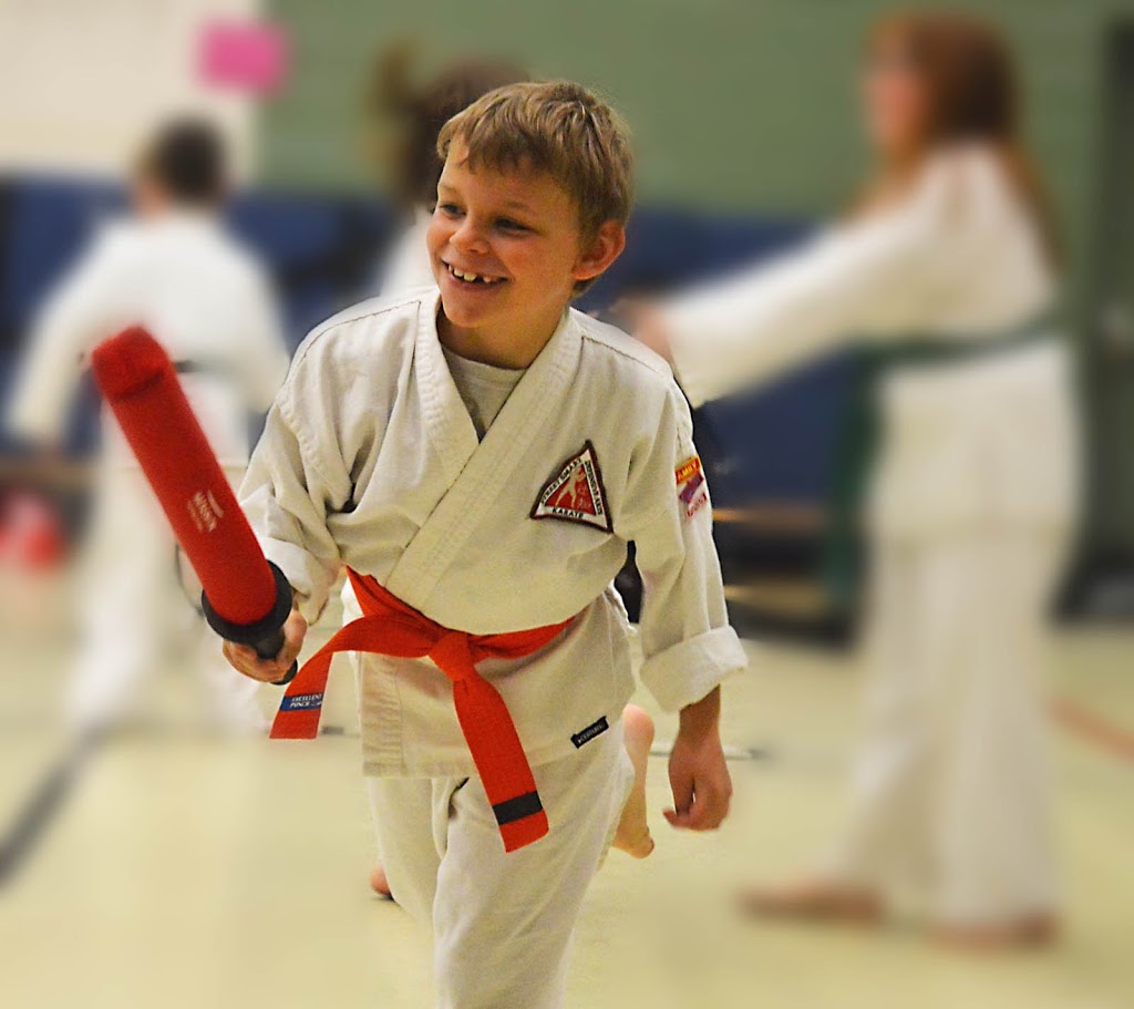 Street Smart/Courtice Karate Club | 716 Wilson Rd S 1A & 1B, Oshawa, ON L1H 6E8, Canada | Phone: (905) 903-8707