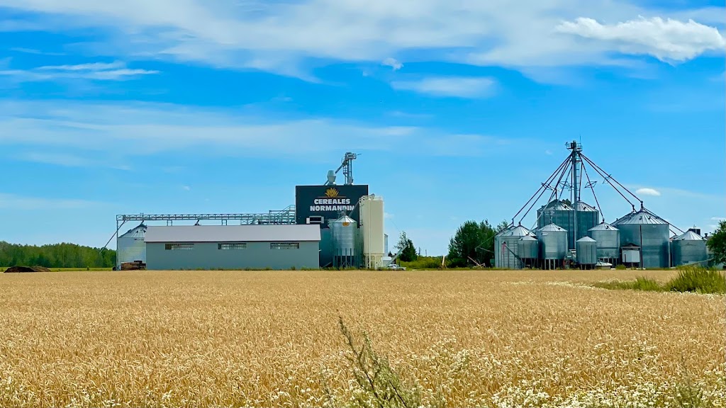 Céréales Normandin inc. | 1001 Rang N, Normandin, QC G8M 4P3, Canada | Phone: (888) 515-8482