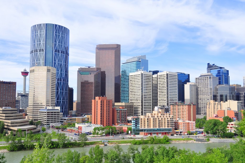 Sky Trades Ltd | 73 Martinridge Crescent NE, Calgary, AB T3J 3M4, Canada | Phone: (403) 993-4339