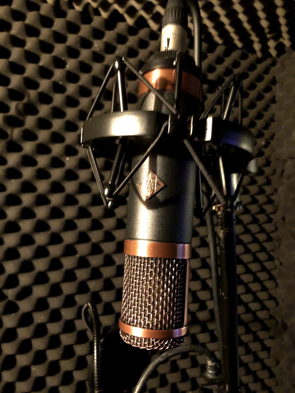 Oasis Music Studio | 19417 62A Ave, Surrey, BC V3S 7L7, Canada | Phone: (778) 809-4134