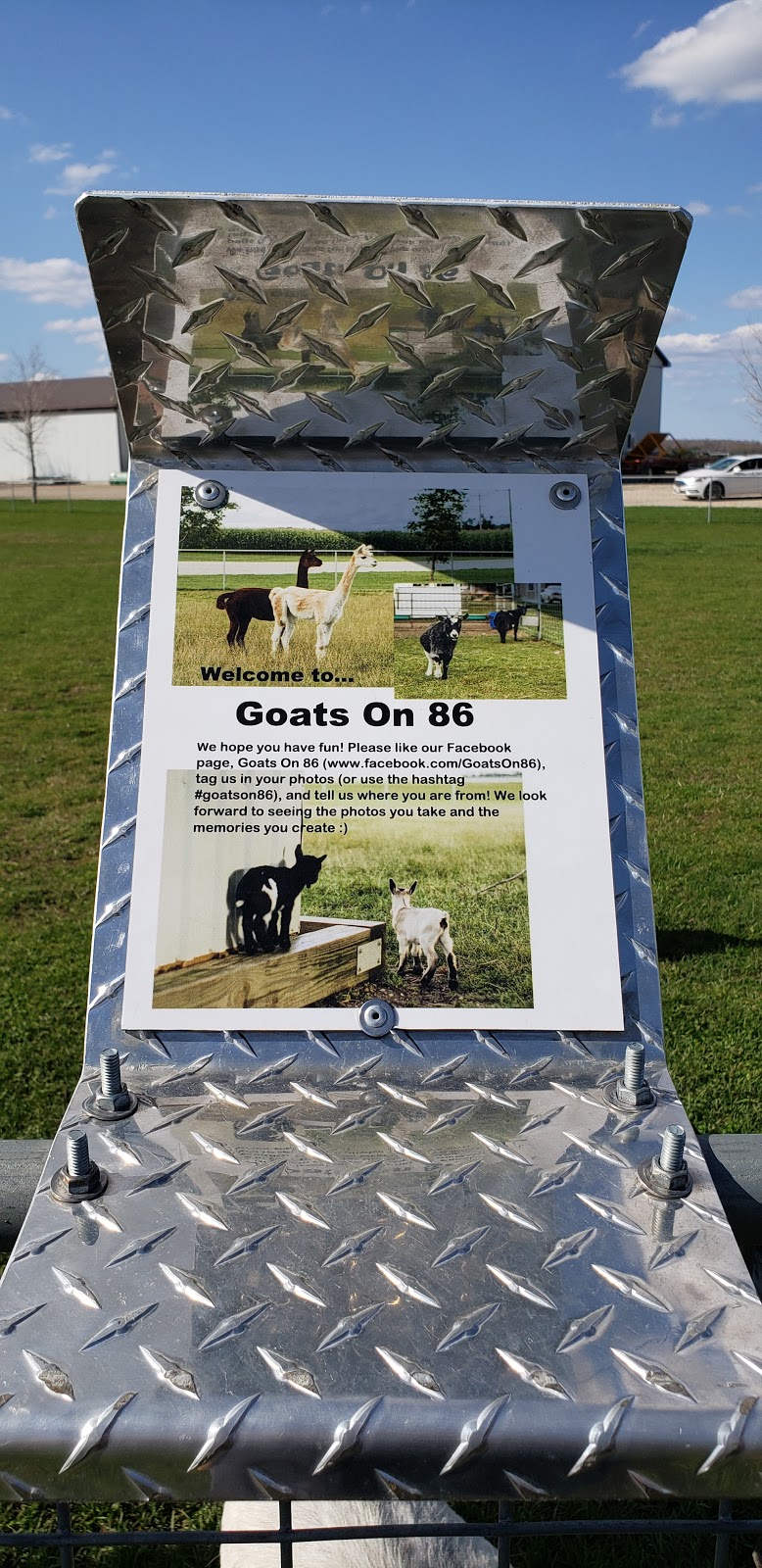 Goats on 86 | 5428 Perth County Line 86, Listowel, ON N4W 3G8, Canada