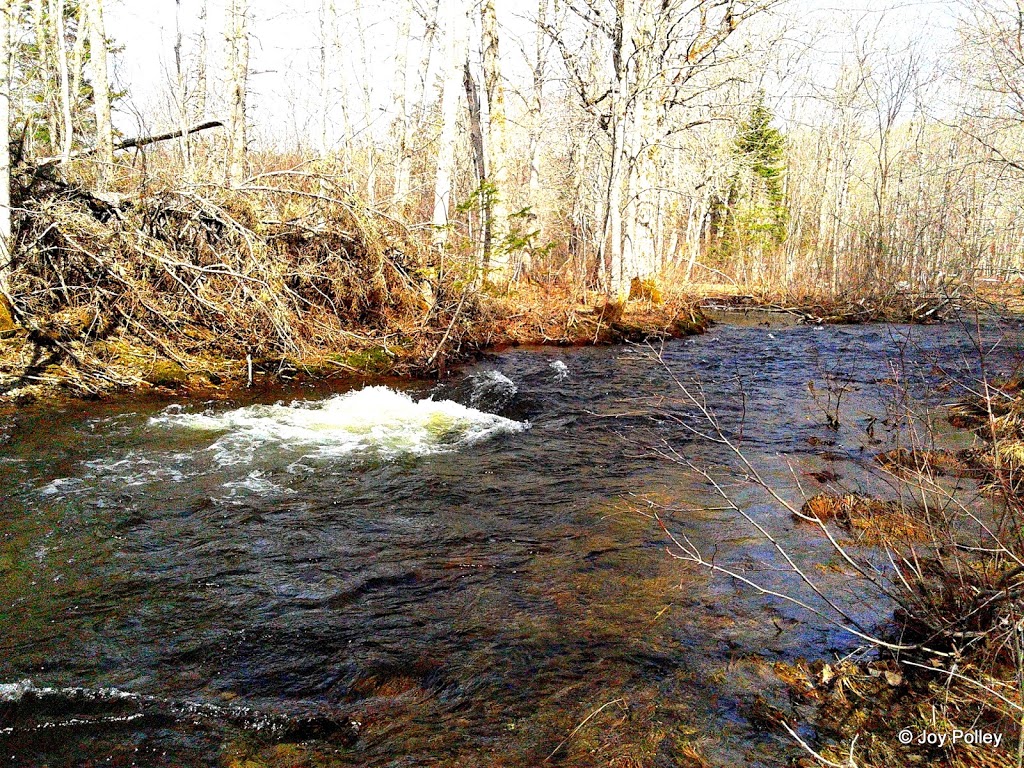 LORDA | 1480 NS-289, Westville, NS B0K 2A0, Canada | Phone: (902) 396-4470