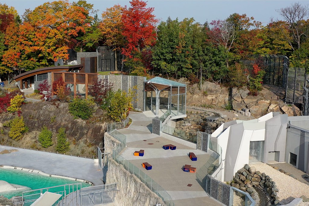 Habitat des ours polaires | 1675 Av. des Hôtels, Québec, QC G1W 4S3, Canada | Phone: (418) 659-5264