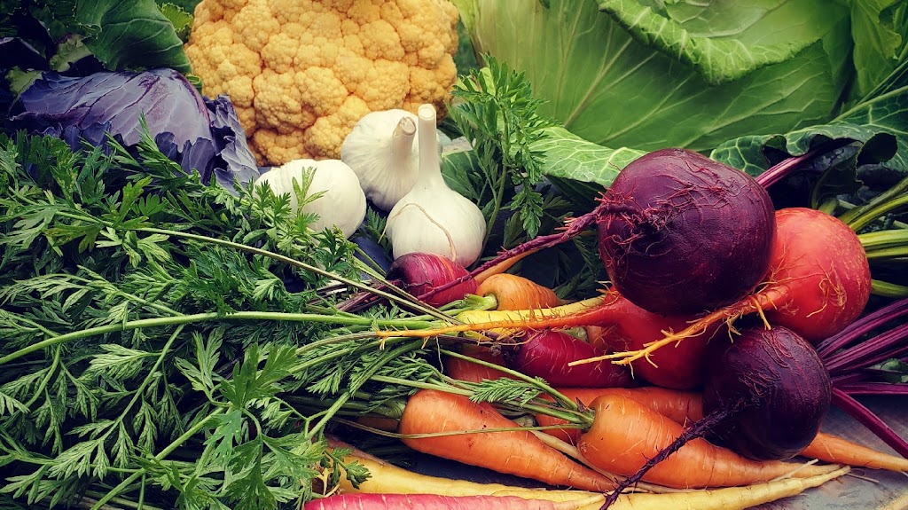 Homestead Harvest | 2331 13 Ave, Invermere, BC V0A 1K4, Canada | Phone: (250) 342-5859