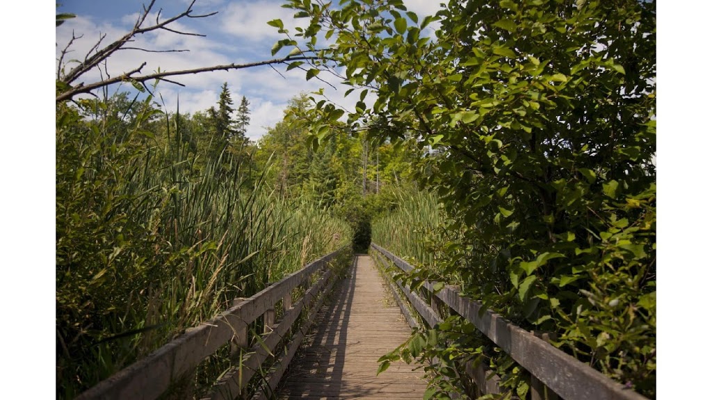 Stoney Swamp | Shirleys Bay, Ottawa, ON K2H 6H1, Canada | Phone: (613) 239-5000