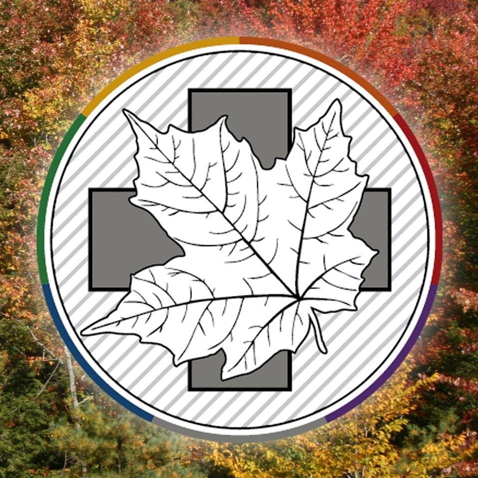 Maple Medicine | 4153 S Main St, Montgomery Center, VT 05471, USA | Phone: (802) 782-2434