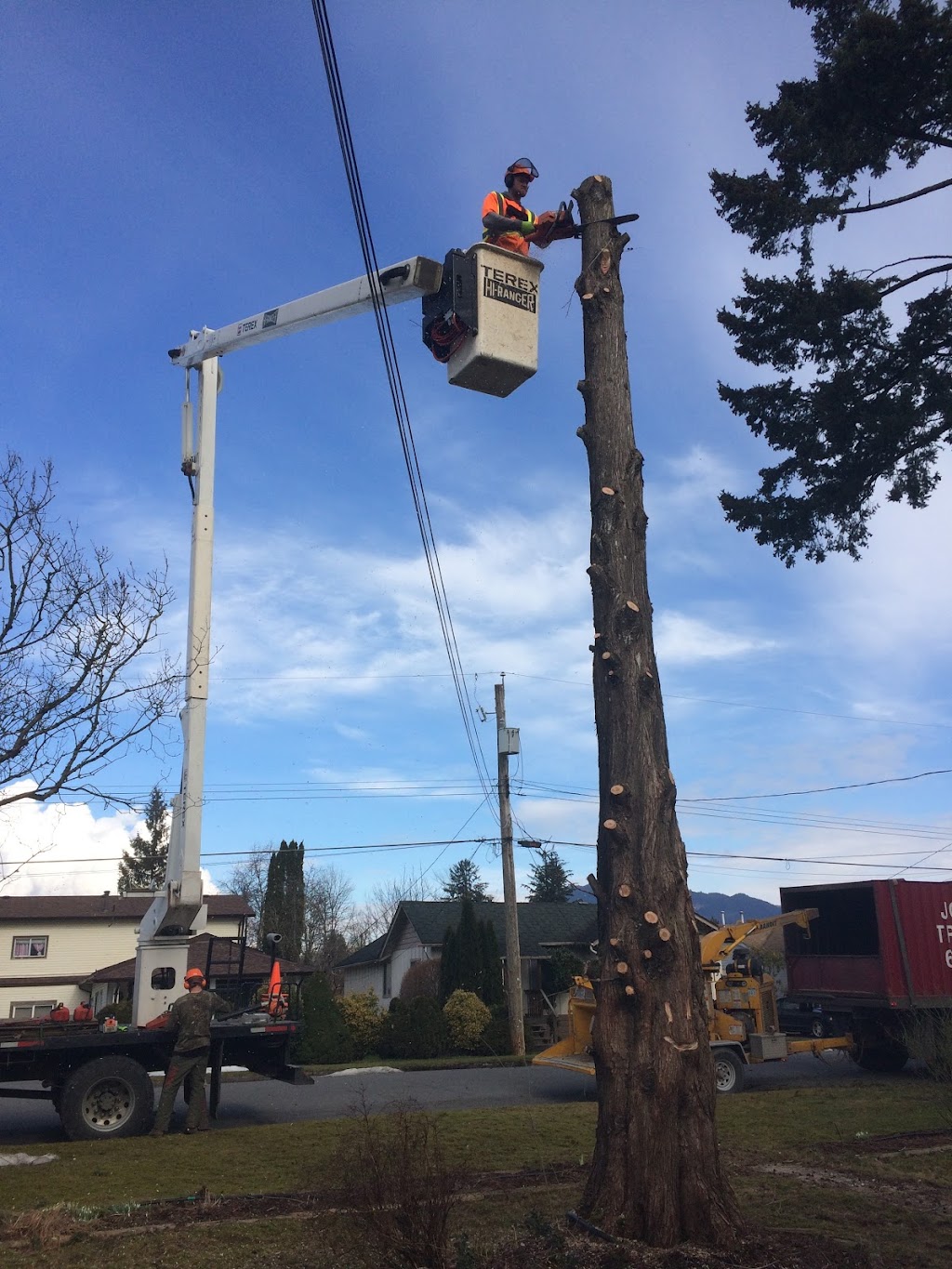 Joe Skillen Tree Services Ltd. | 42244 Yarrow Central Rd, Chilliwack, BC V2R 5H8, Canada | Phone: (604) 858-9376