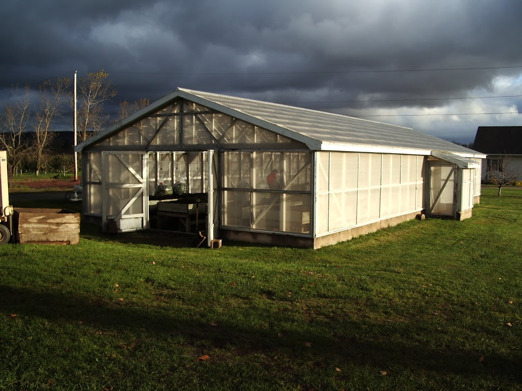 G W Allen Nursery Ltd | 7295 NS-221, Centreville, NS B0P 1J0, Canada | Phone: (902) 678-7519
