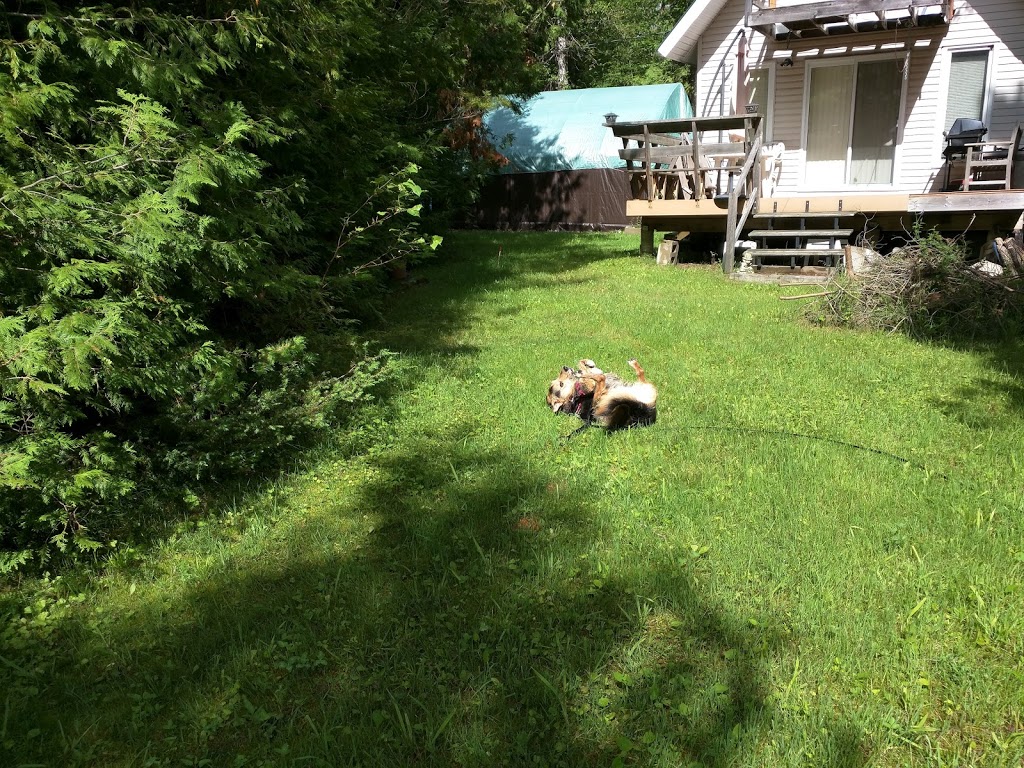 Morans Cabins | 5505 Calabogie Rd, Calabogie, ON K0J 1H0, Canada | Phone: (613) 883-0550