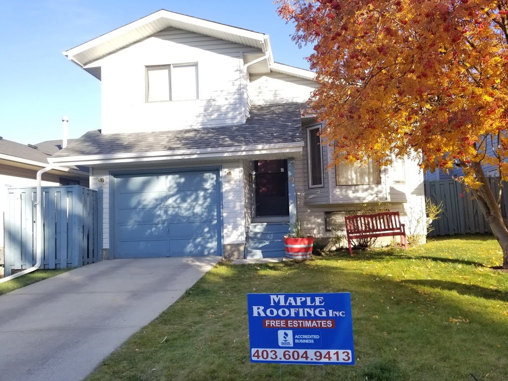 Maple Roofing Inc | 54 Everwoods Link SW, Calgary, AB T2Y 0G2, Canada | Phone: (403) 604-9413