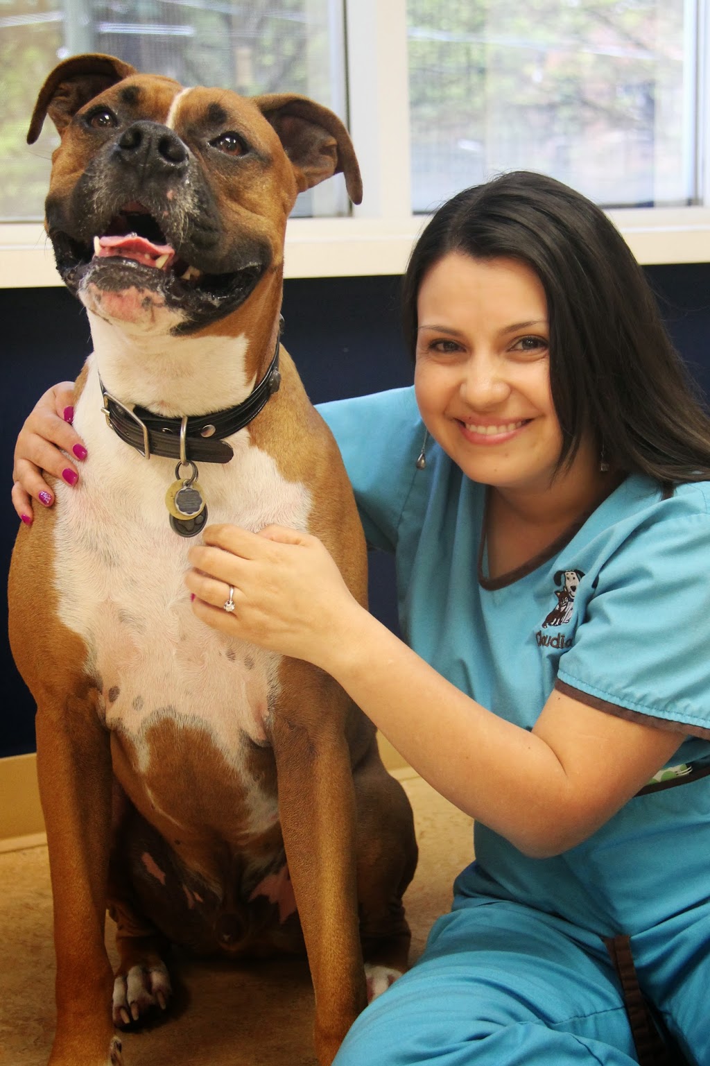 Roncy Village Veterinary Clinic | 215 Roncesvalles Ave, Toronto, ON M6R 2L6, Canada | Phone: (416) 538-8387