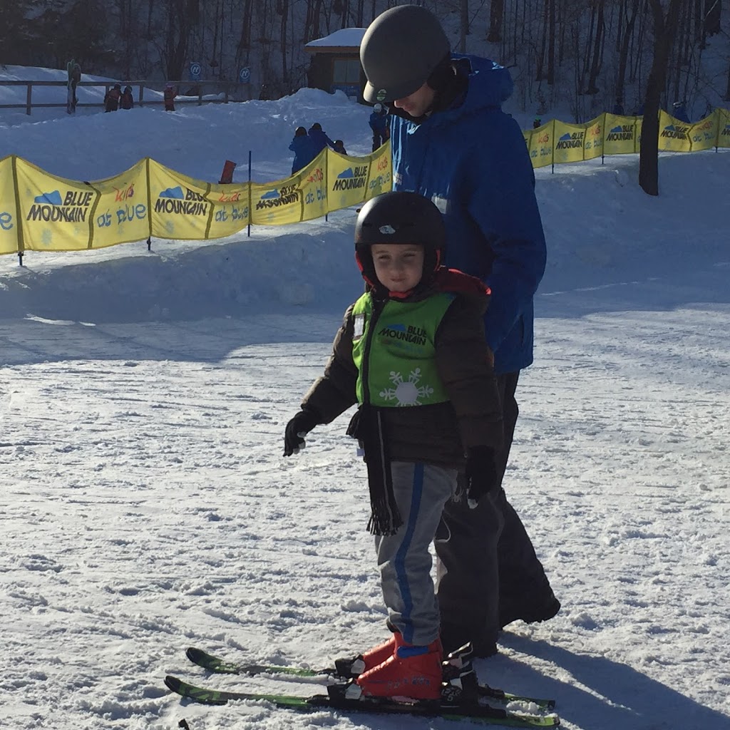 Plunge Super Camp | 220 Gord Canning Dr, The Blue Mountains, ON L9Y 0V9, Canada | Phone: (877) 445-0231