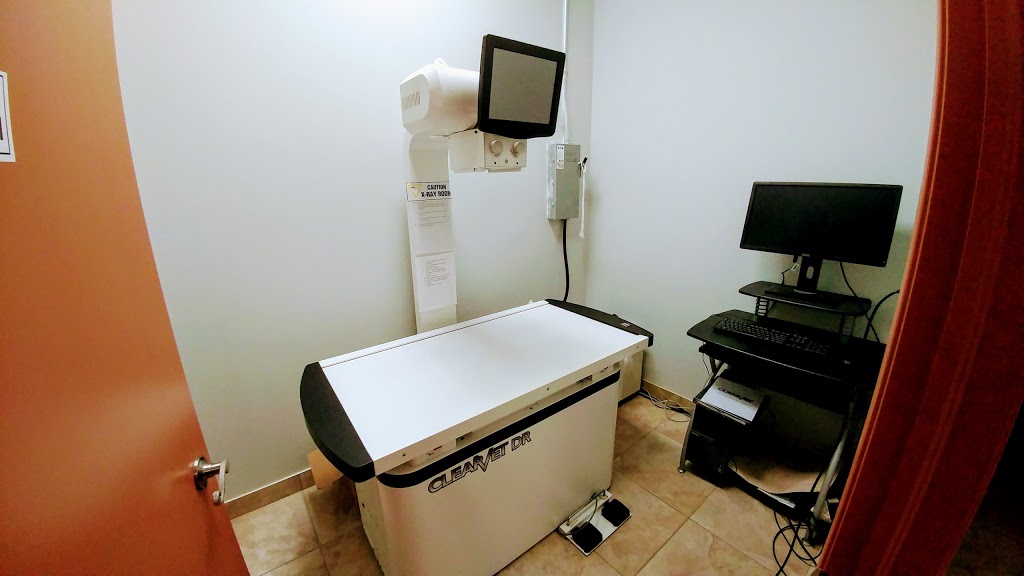White Oaks Animal Hospital | 1070 Wellington Rd, London, ON N6E 3V8, Canada | Phone: (519) 204-7826