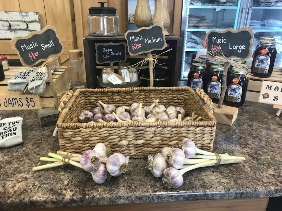 Rosien Farm | 1434 McLachlan Rd, White Lake, ON K0A 3L0, Canada | Phone: (613) 913-5009