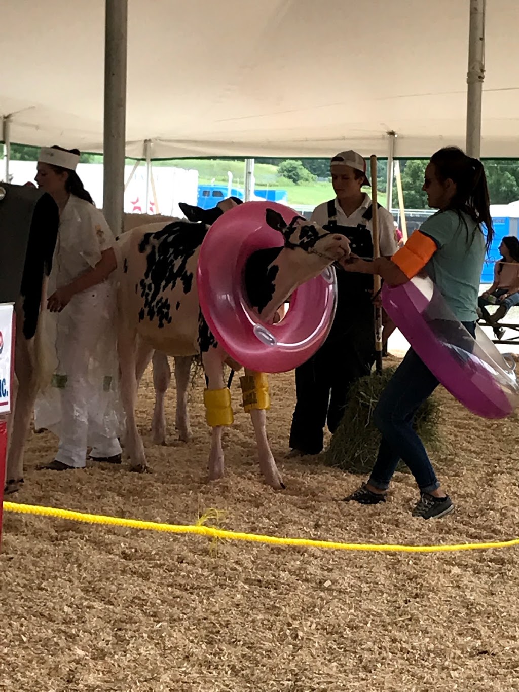 Expo Vallée de la Coaticook | 125 Chemin Morgan, Coaticook, QC J1A 1V6, Canada | Phone: (819) 849-6010