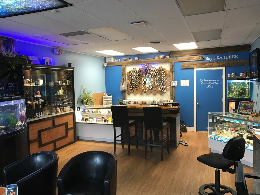 Blue Vapes | 1785 Ross Rd, West Kelowna, BC V1Z 3E7, Canada | Phone: (778) 755-6177