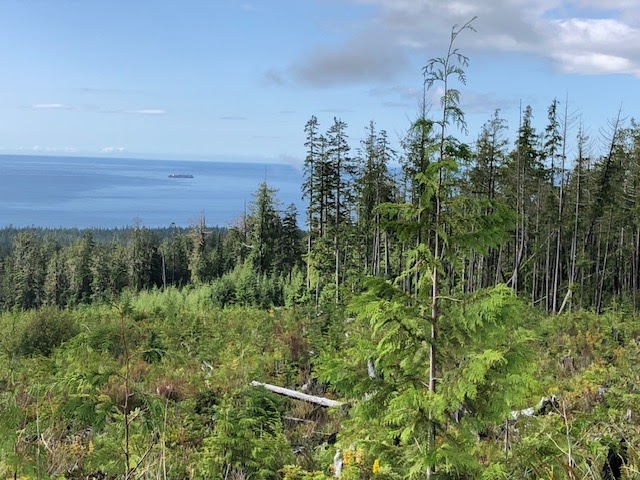 Bjørn Holm | 236 - 6596 Baird Rd, Port Renfrew, BC V0S 1K0, Canada | Phone: (250) 893-1859