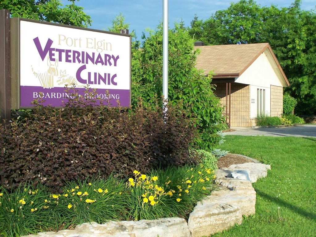 Port Elgin Veterinary Clinic | ON-21, Saugeen Shores, ON N0H 2C5, Canada | Phone: (519) 389-2020