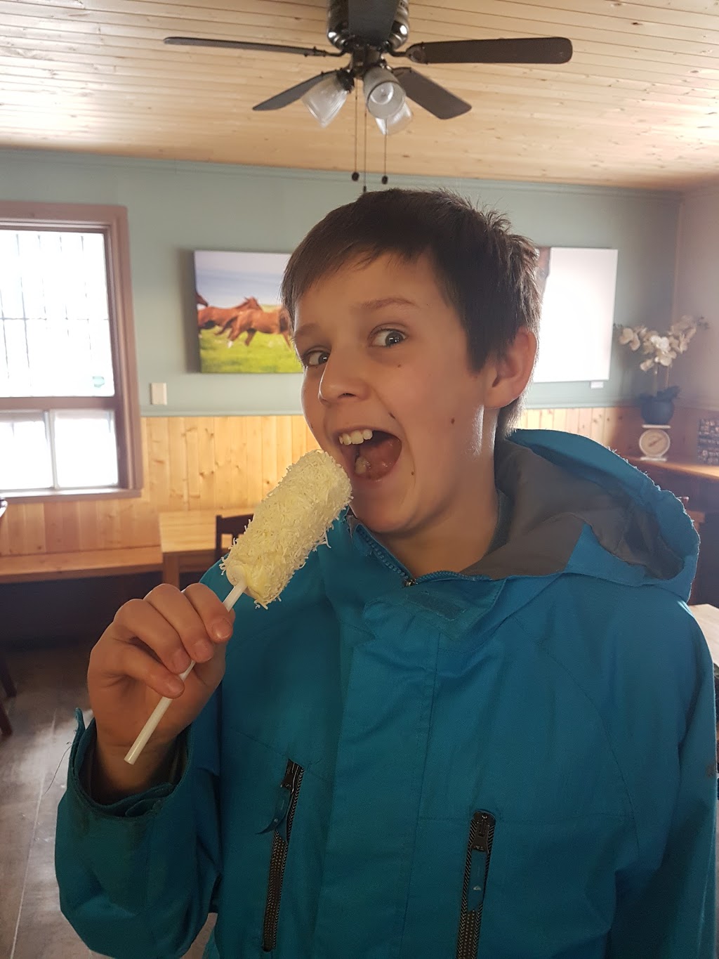 Corner House Cafe | Off hwy 22 s, Millarville, AB T0L 1K0, Canada