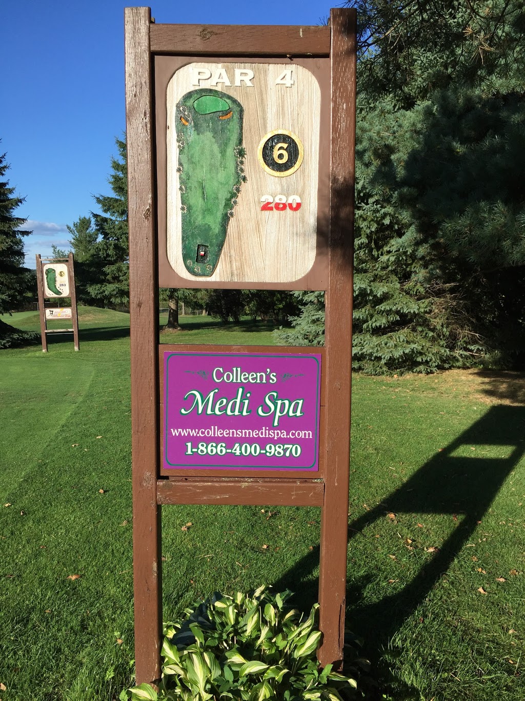 Colleens Medi Spa | 204 R33, Portland, ON K0G 1V0, Canada | Phone: (866) 400-9870