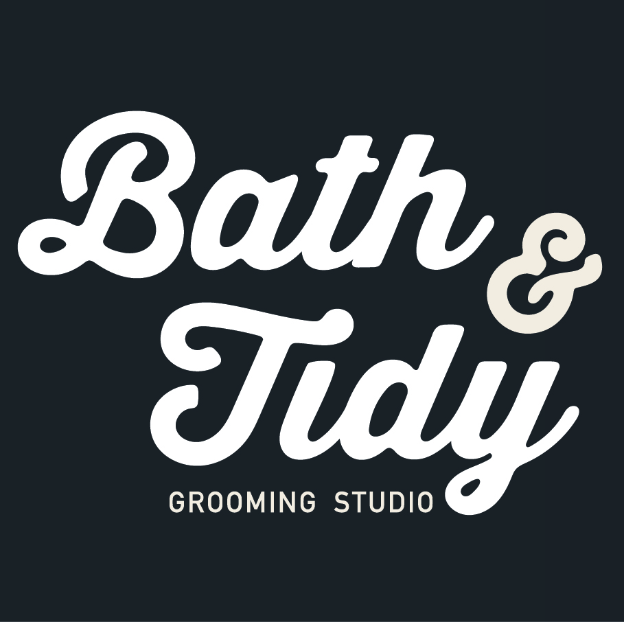 Bath & Tidy | 1347 Northmount Dr NW, Calgary, AB T2L 0E7, Canada | Phone: (403) 289-1500