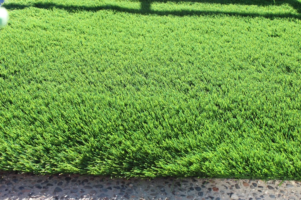 Premium Grass Blades | 20285 Stewart Crescent Unit 102, Maple Ridge, BC V2X 8G1, Canada | Phone: (604) 757-2899