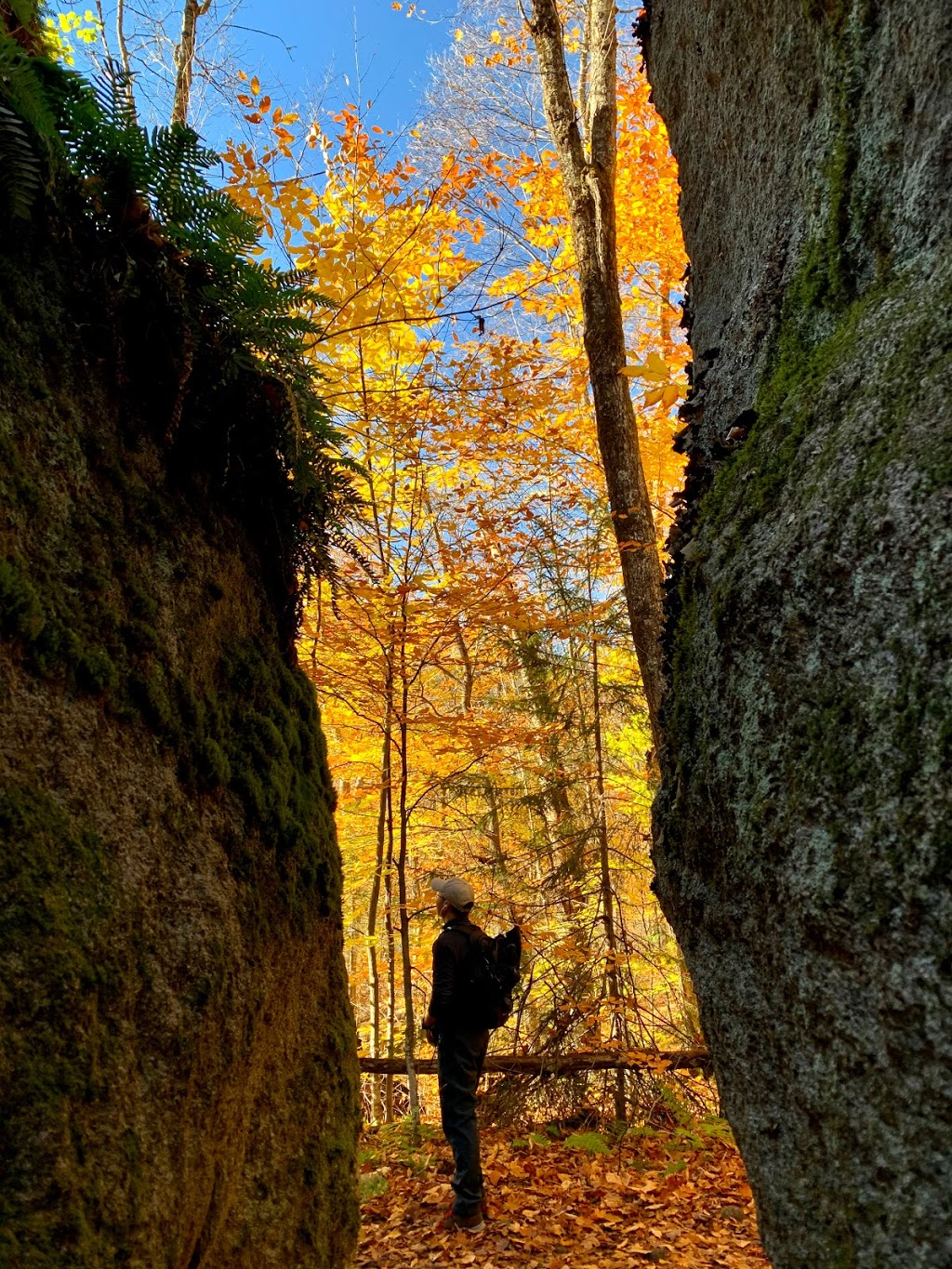 Mont Nixon | 285-237 Chemin du Canton Archambault, Lac-Supérieur, QC J0T 1P0, Canada | Phone: (819) 688-2281