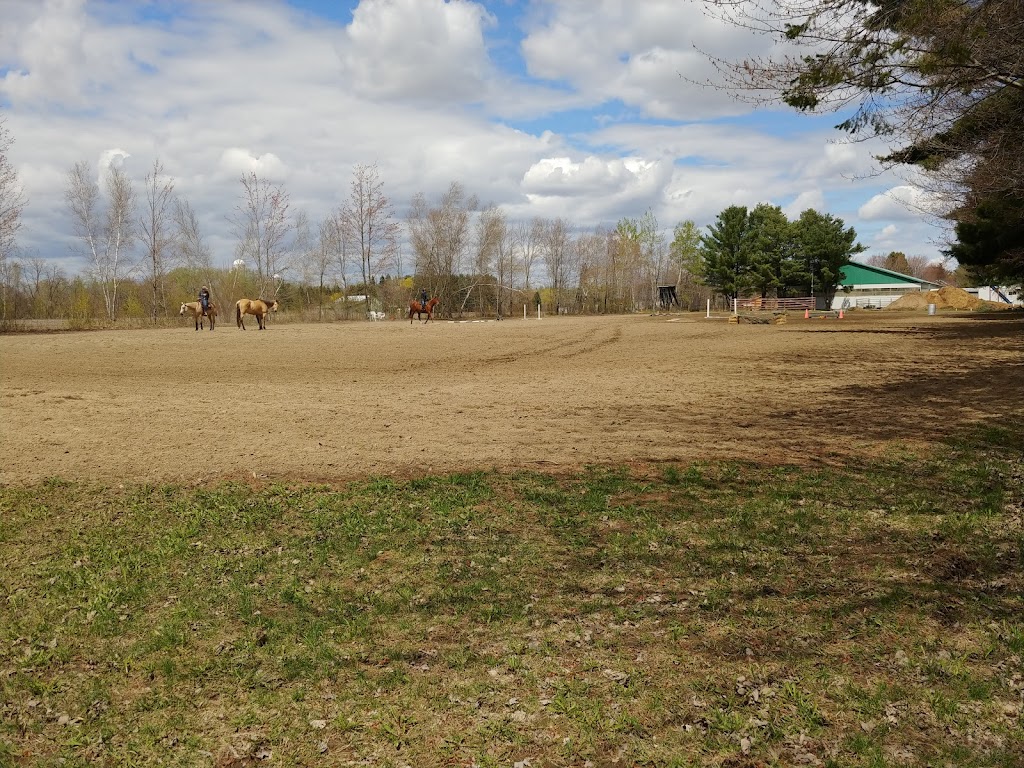 Les Écuries Langlois | 376 Rte St Philippe, Saint-Roch-de-lAchigan, QC J0K 3H0, Canada | Phone: (514) 622-2947