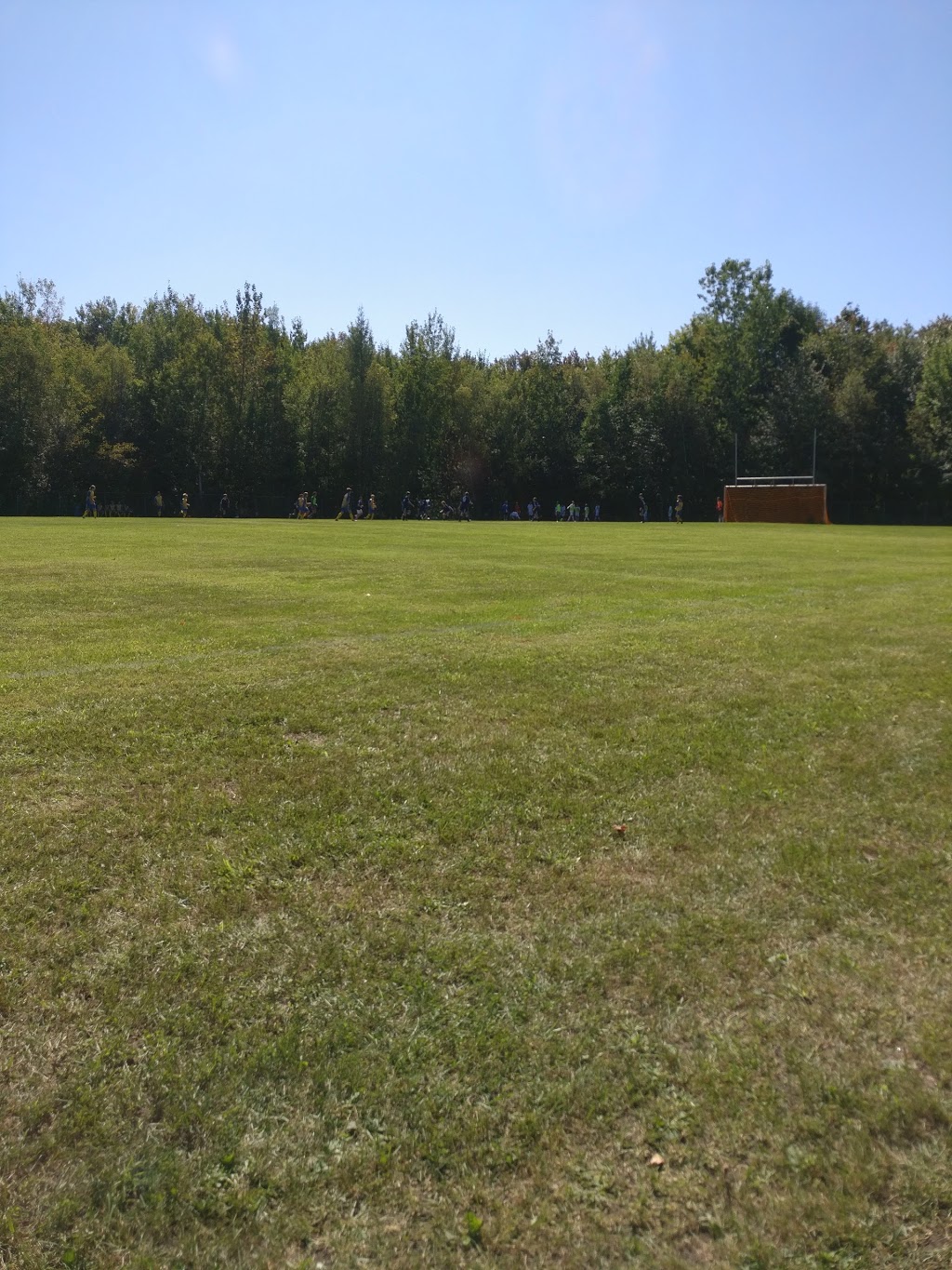 Fondation Hermas | 1111 Rue Simonds S, Granby, QC J2G 9H7, Canada | Phone: (450) 378-9981