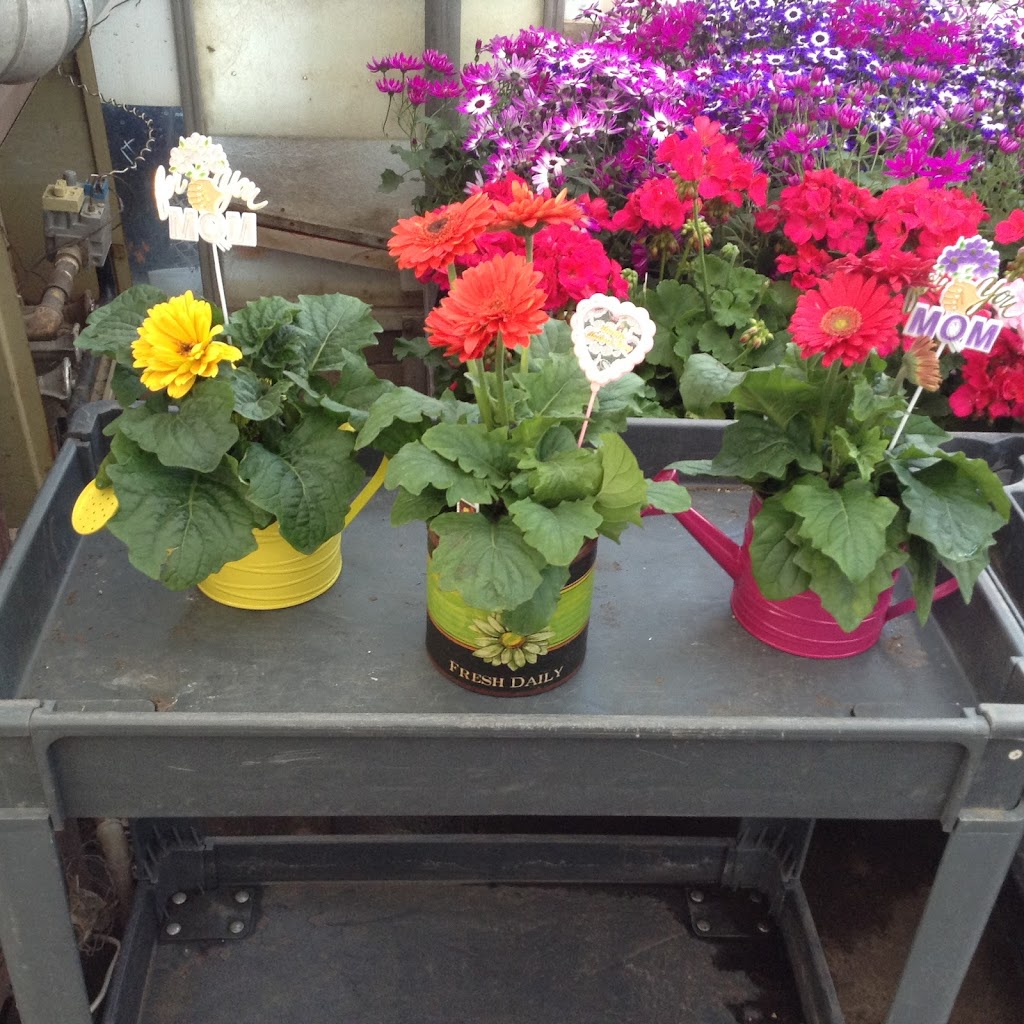 Shaughnessy Greenhouse | 5 St, Shaughnessy, AB T0K 2A0, Canada | Phone: (403) 381-4791