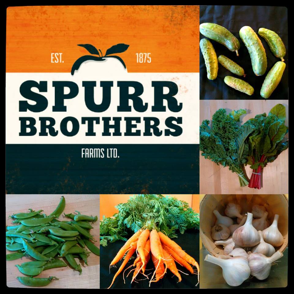 Spurr Brothers Farms Ltd | 144 Bridge St, Kingston, NS B0P 1R0, Canada | Phone: (902) 765-4300