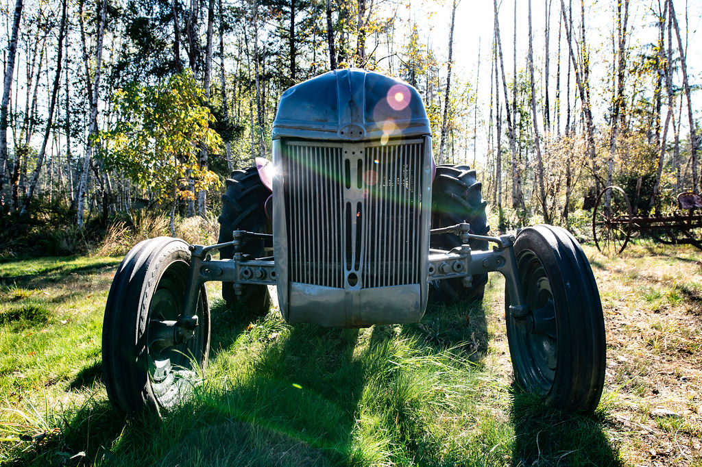 Ellies Farm and RV Sites | 1388 Ellenor Rd, Comox, BC V9M 0B4, Canada | Phone: (778) 431-0399