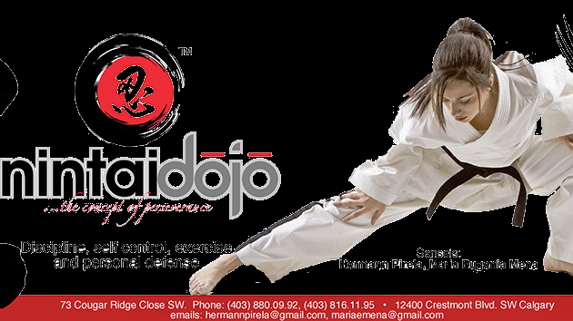 Nintai Dojo (Karate) | 73 Cougar Ridge Cl SW, Calgary, AB T3H 4E5, Canada | Phone: (403) 816-1195