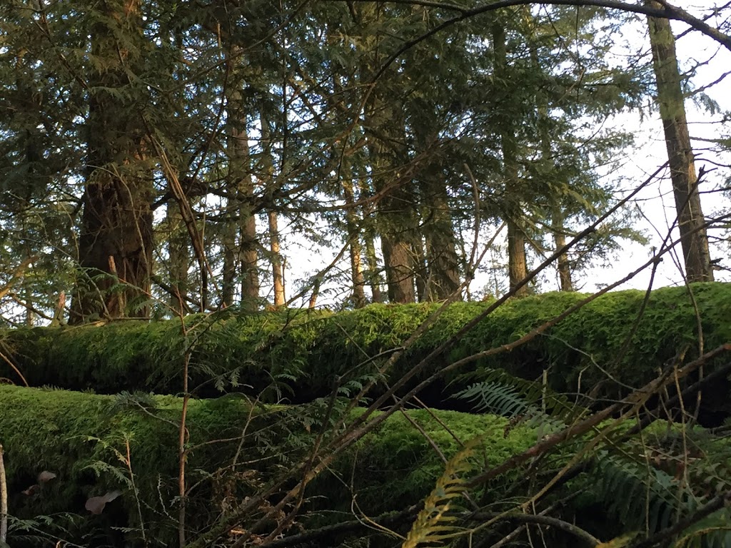 Minnekhada Lodge | 4455 Oliver Rd, Coquitlam, BC V3E 3H6, Canada | Phone: (604) 432-6352