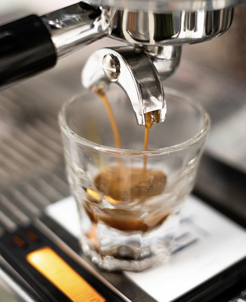 Café Plantation Inc | 7500 Bd des Galeries dAnjou, Anjou, QC H1M 3M4, Canada | Phone: (514) 355-2233