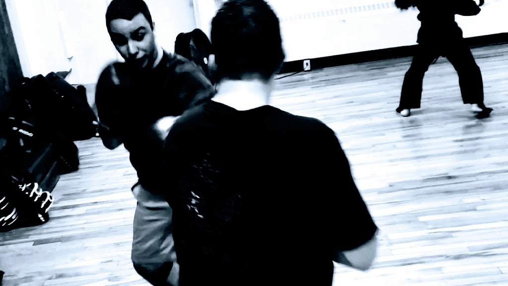 Northern Fist Martial Arts | 4276 Roseland Dr E, Windsor, ON N9G 1Y7, Canada | Phone: (226) 782-9456